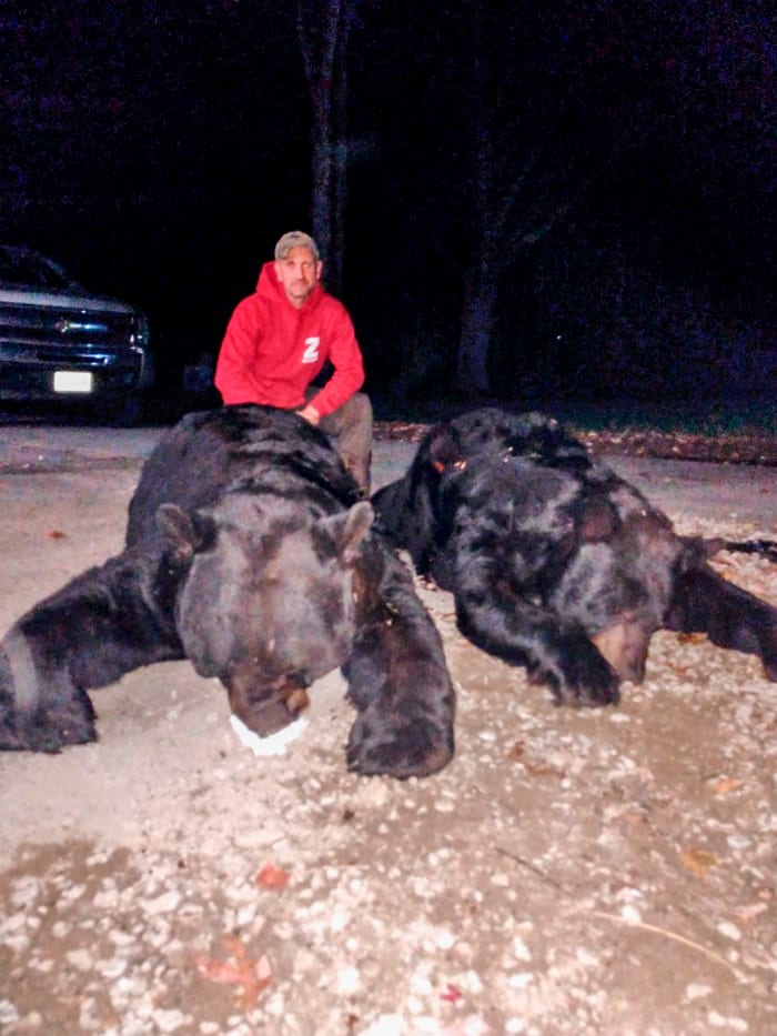 Melillo, back on his property with his record bear and the smaller carcass from another hunter’s haul.